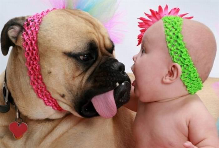 Imágenes De Niños y Sus Mascotas Bebé y perro boxer