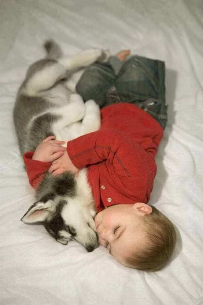 Imágenes De Niños y Sus Mascotas Bebé y husky durmiendo