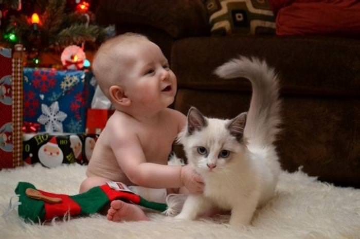 Imágenes De Niños y Sus Mascotas Bebé con gatito en Navidad