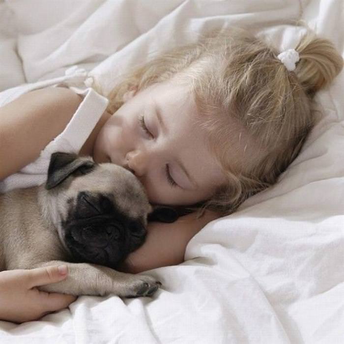 Imágenes De Niños y Sus Mascotas Niña durmiendo con pug