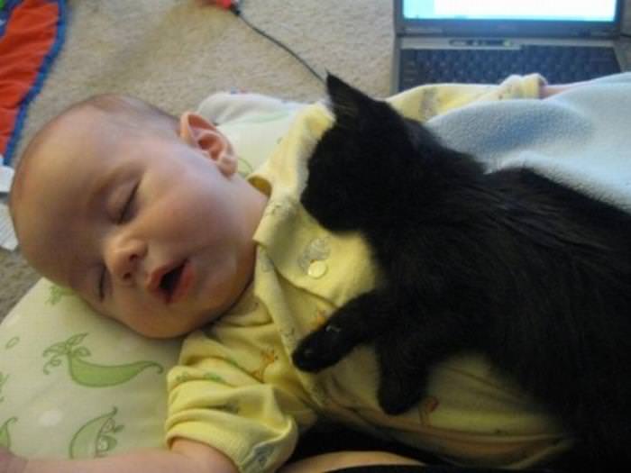 Imágenes De Niños y Sus Mascotas Bebé y gatito negro durmiendo