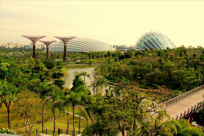 Diseños Arquitectónicos Gardens by the Bay Marina Bay