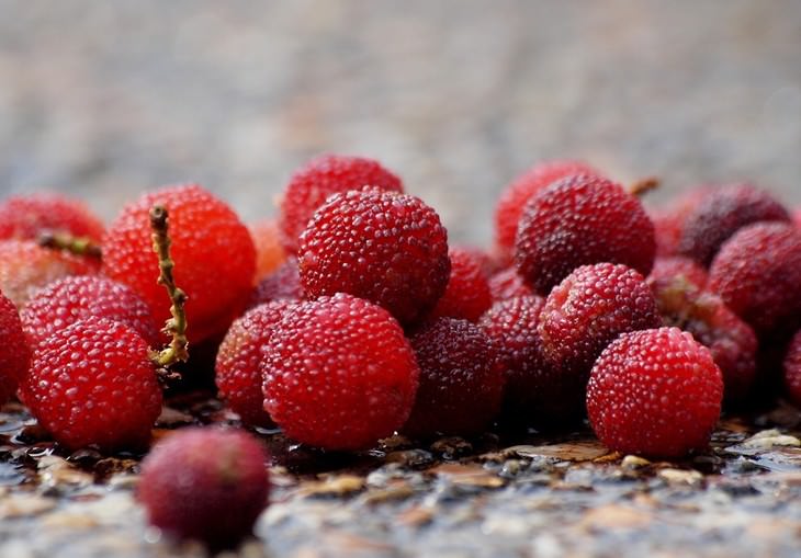 ¿Has Probado Estas Frutas Exóticas? Descubre Sus Beneficios