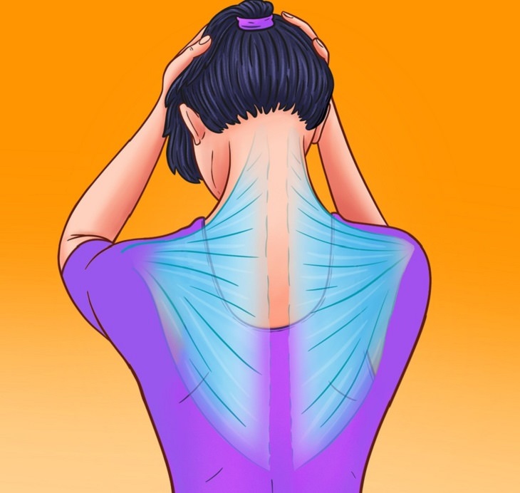 7 ejercicios dolor cuello