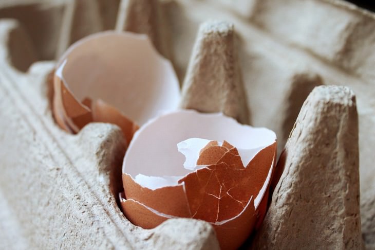 12 Mitos Sobre Los Huevos 