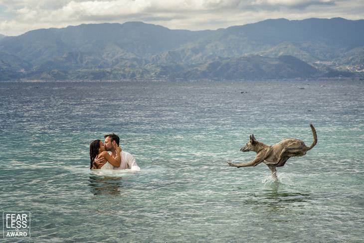 fotos de bodas pareja en el mar y perro saltando hacia ellos