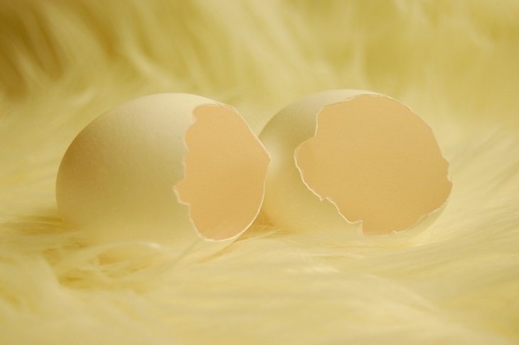 objetos comestibles 9. Cáscaras de huevo