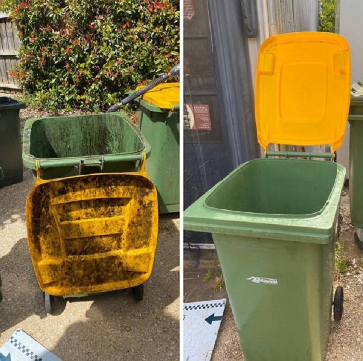 imágenes antes y después de la limpieza botes de basura