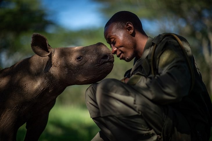 Fotos De La Vida Silvestre rinoceronte y su cuidador