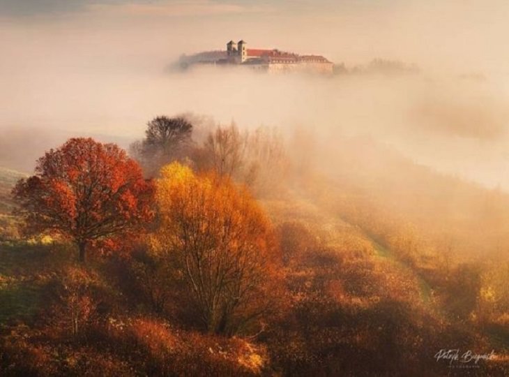 Celebra La Belleza Del Otoño Con 20 Fotografías De Todo El Mundo neblina en otoño