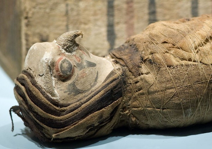 Alucinantes Datos Históricos  Los antiguos egipcios también momificaban animales