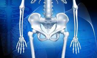 Osteoporosis 7 posts