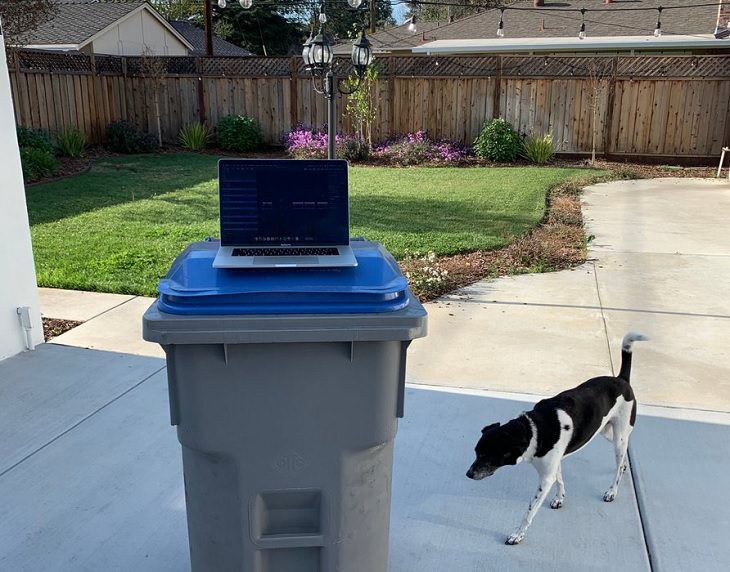 Funny improvised and makeshift work from home (wfh) workspaces and workstations, using a recycling bin outdoors as a laptop desk with a black and white dog running past