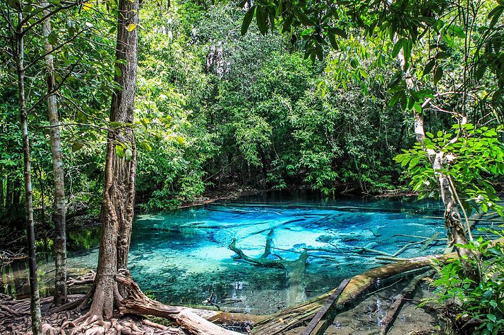 20 Espectaculares Fotografías De La Maravillosa Kabri La piscina Esmeralda en el Parque Nacional Khao Phanom Bencha