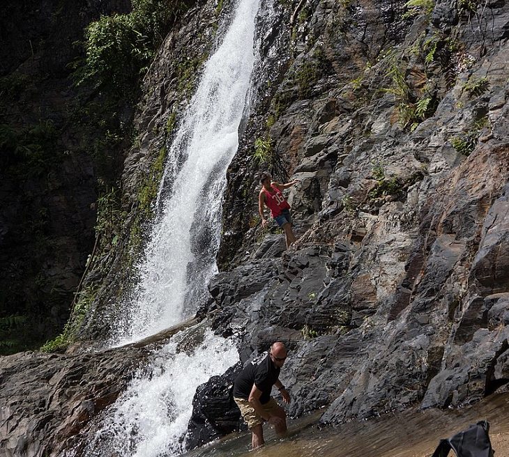 20 Espectaculares Fotografías De La Maravillosa Kabri Escalar junto a una cascada en el Parque Nacional Khao Phanom Bencha