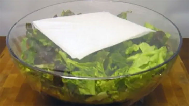 8. Almacenar la ensalada de esta manera absorberá el exceso de humedad y hará que dure toda la semana. También puedes usar una toalla normal o paños en lugar de la toalla de papel