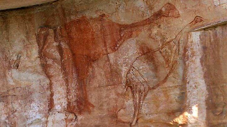 11. Una pintura rupestre de 40.000 años en Australia, probablemente una de las más antiguas y se cree que representa al gran pájaro no volador, el Genyornis.