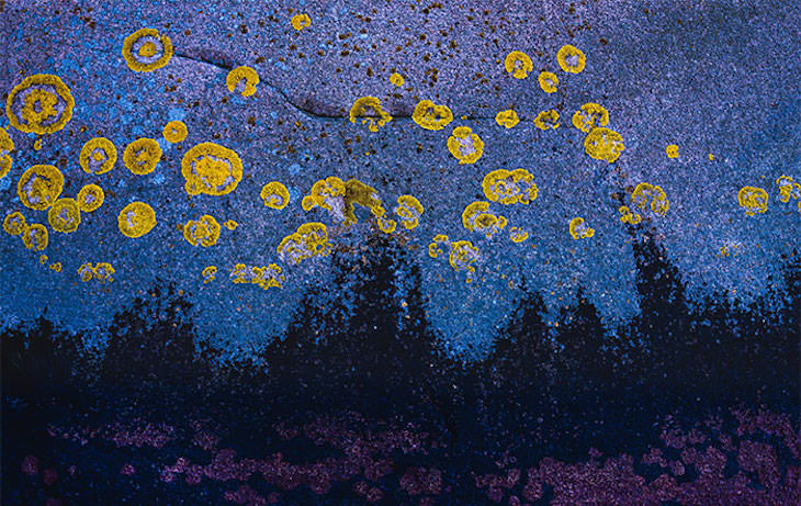 Ilusiones ópticas accidentales El patrón en una roca se parece a la noche estrellada de Vincent Van Gogh