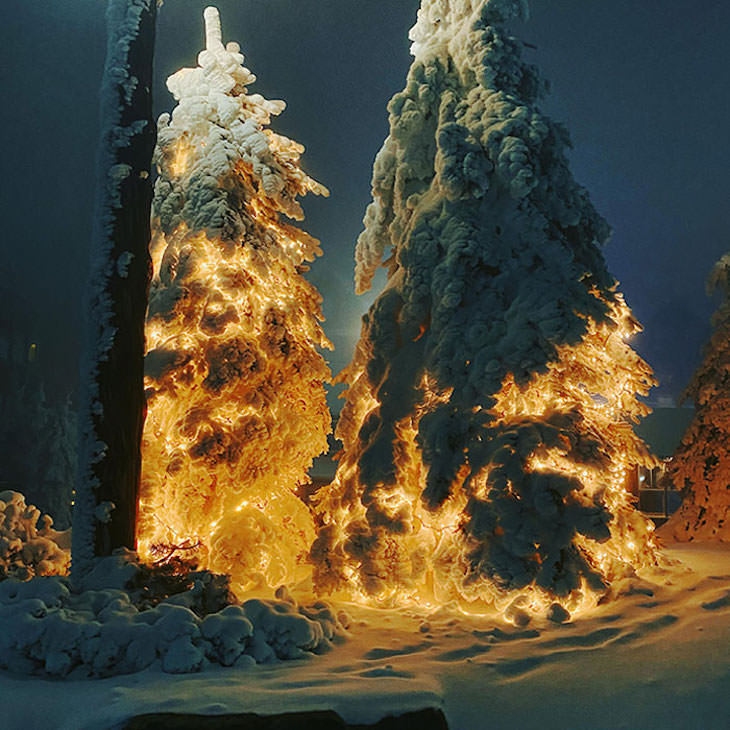 Ilusiones ópticas accidentales Los árboles con luces navideñas bajo la nieve parecen el lanzamiento de un cohete