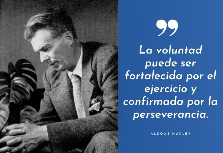 Frases Célebres De Aldous Huxley La voluntad puede ser fortalecida por el ejercicio y confirmada por la perseverancia.