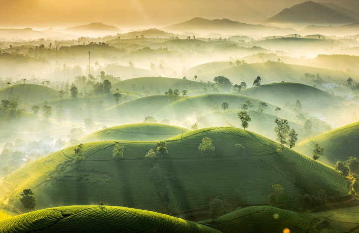 Concurso Fotografía Clima Extremo Primer finalista: "Tea Hills" de Vu Trung Huan