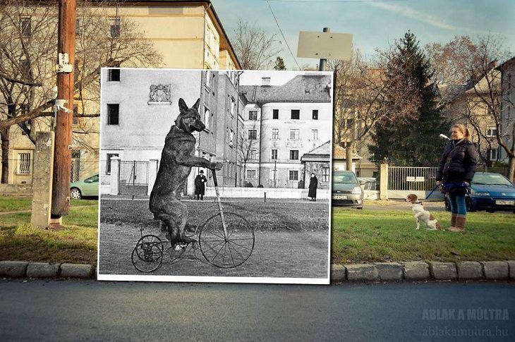 Un Recorrido En 25 Fotografías Por La Budapest Del Siglo XX En la calle Raktár, 1938 - 2014