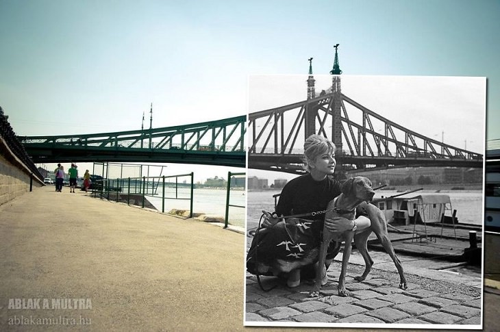 Un Recorrido En 25 Fotografías Por La Budapest Del Siglo XX La cantante de ópera húngara Erzsébet Házy con su perro frente al Puente de la Libertad, 1967-2013