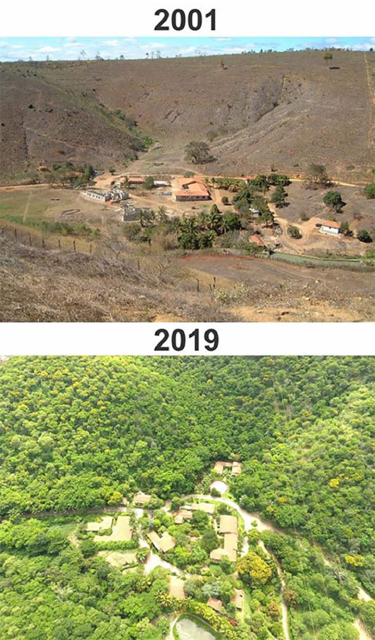  17. Una pareja pasó casi dos décadas plantando dos millones de árboles jóvenes en un terreno desierto