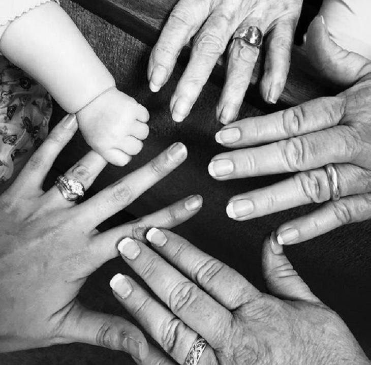 Amazing photographs that show differences, shapes and sizes through comparison, 5 generations in a single photo, from a newborn to her great great grandmother
