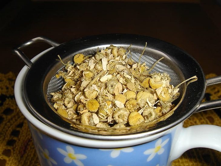 Easy and common drinks for longer life, Mushroom Tea