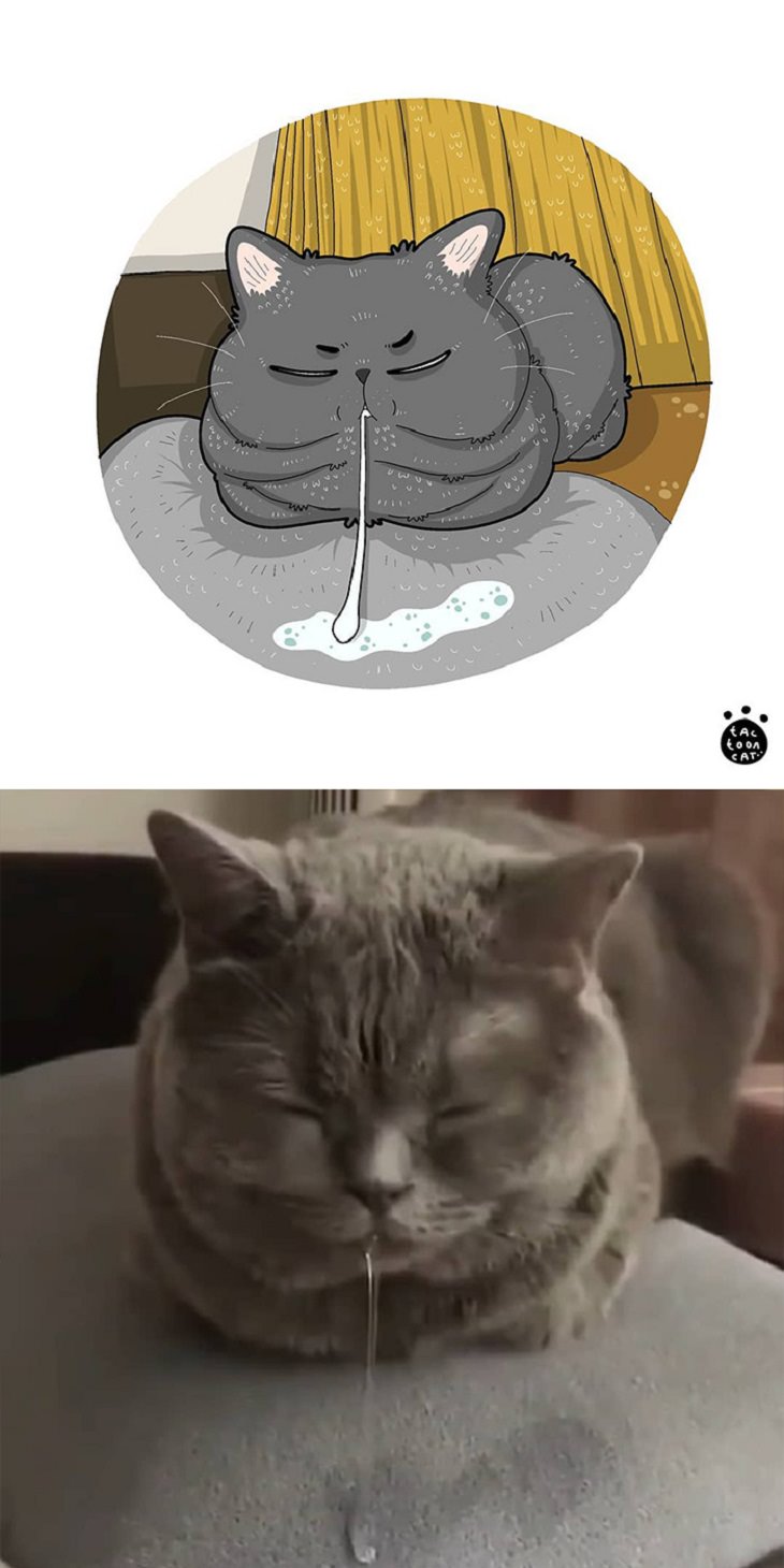 20 Divertidas Caricaturas De Los Felinos Favoritos Del Internet gato salivando