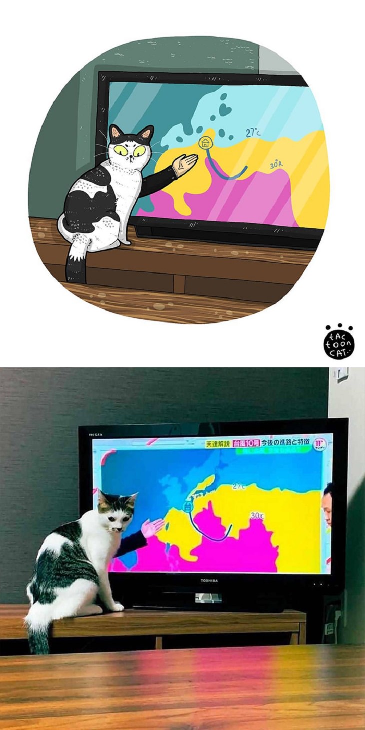 20 Divertidas Caricaturas De Los Felinos Favoritos Del Internet gato frente a la televisión