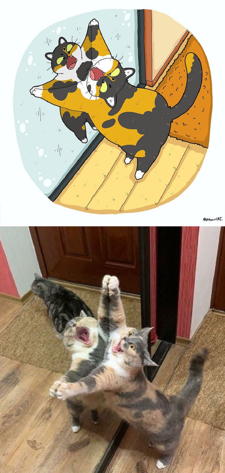 20 Divertidas Caricaturas De Los Felinos Favoritos Del Internet gato frente al espejo