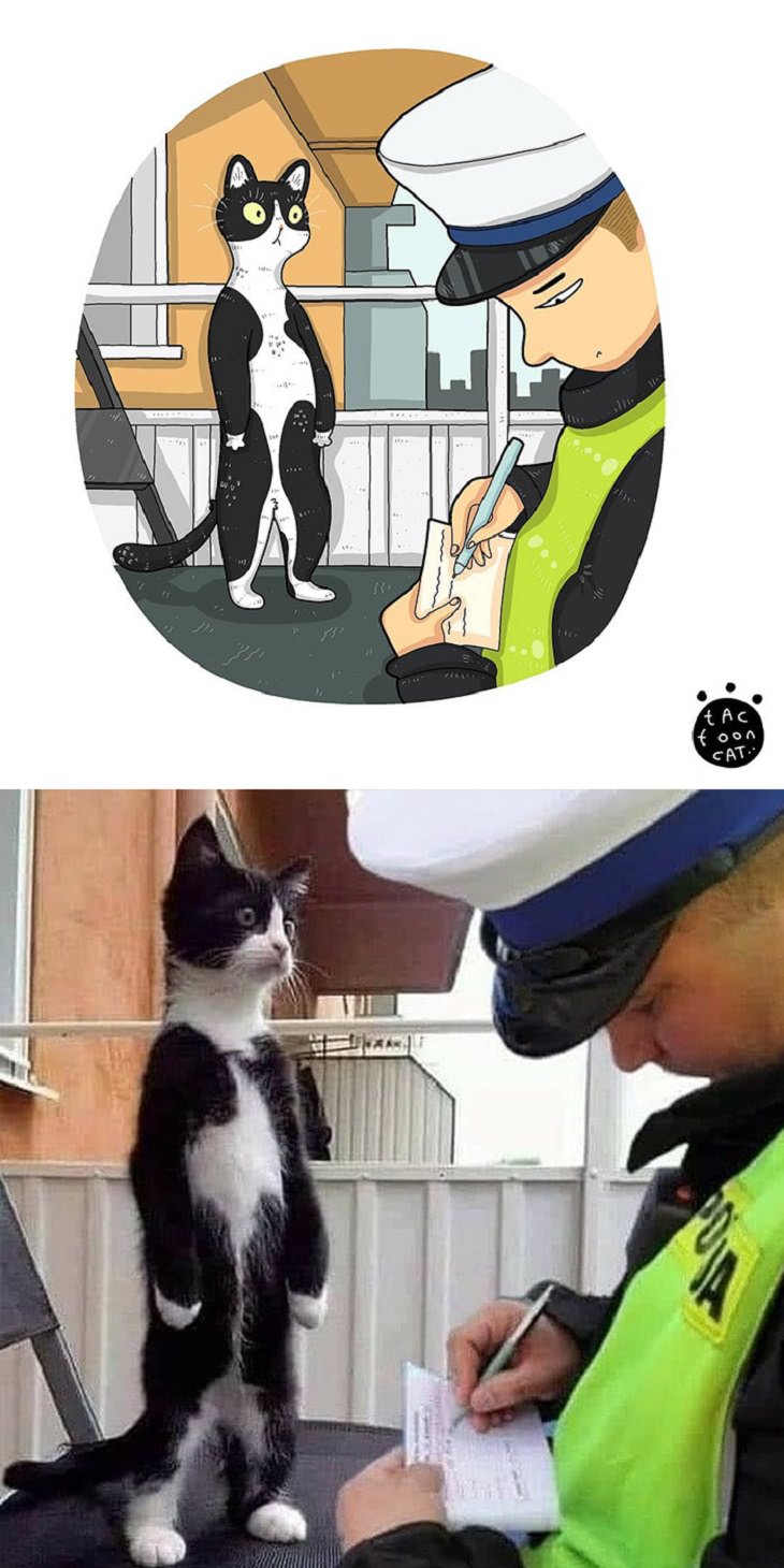 20 Divertidas Caricaturas De Los Felinos Favoritos Del Internet gato y oficial de policía