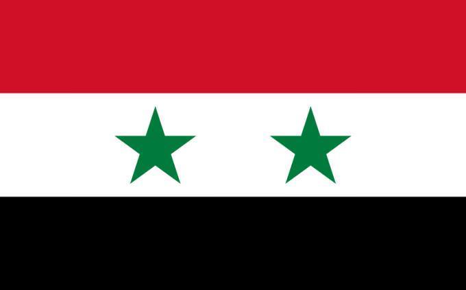 מבחן נכון-לא נכון: דגל סוריה
