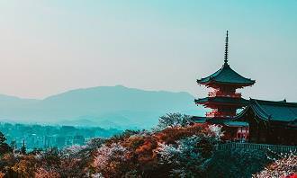 מבחן אישיות ברפואה: מקדש ביפן
