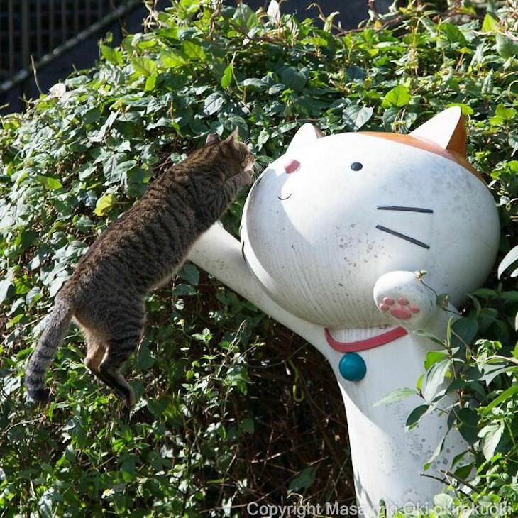 Fotógrafo Captura La Vida De Los Gatos Callejeros De Tokio Gato saltando frente a estatua
