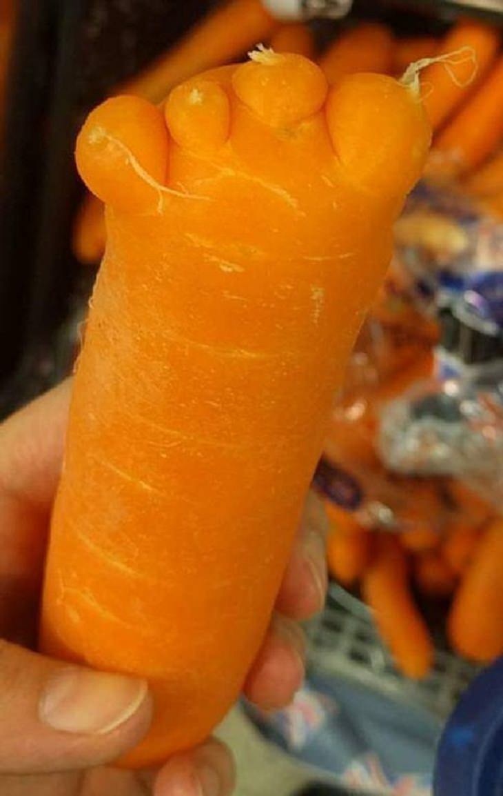 Frutas y Verduras De Formas Extrañas Que Se Ven Divertidas Una zanahoria que parece un pie con dedos.