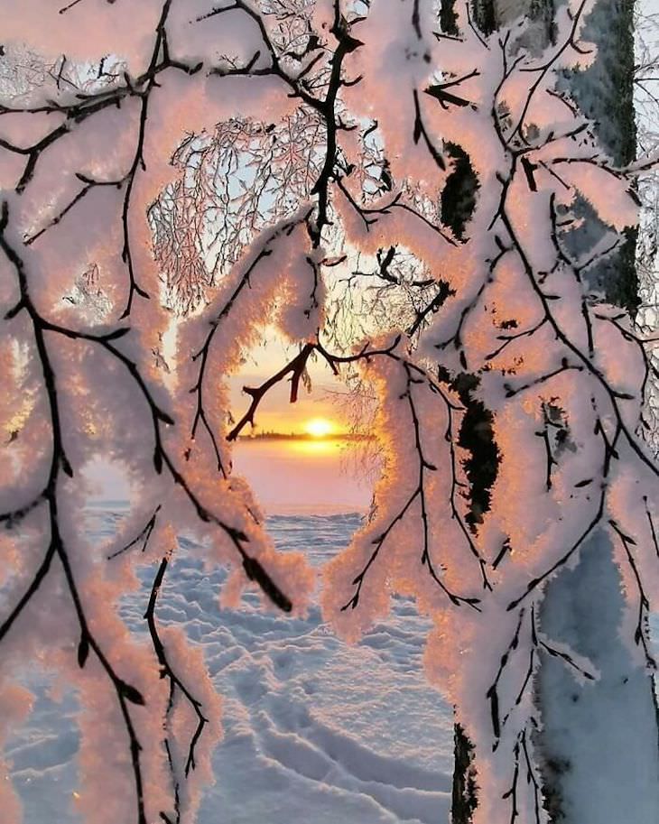 Esculturas de nieve accidentales ramas de árbol