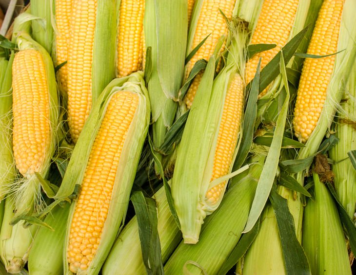 Alimentos a Evitar En Invierno Mazorca de maíz