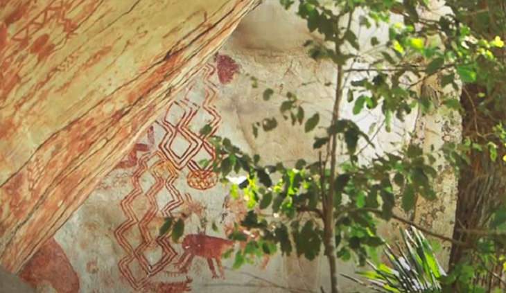 Pinturas Rupestres Encontradas En El Amazonas venado