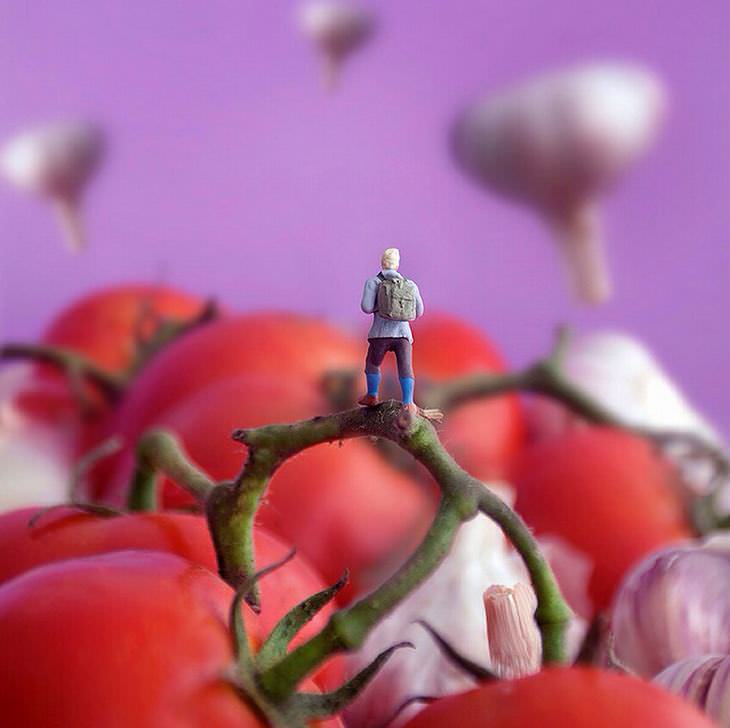 El Mundo De Los Alimentos Visto Por William Kass tomates
