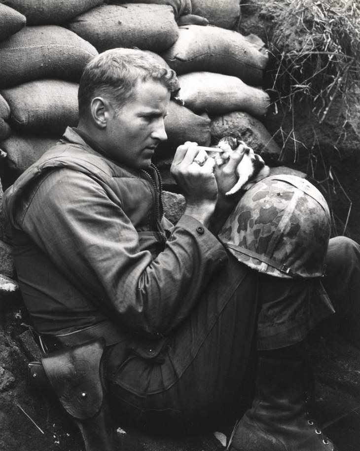 Imágenes de héroes de la vida real soldado alimentando gatito recién nacido