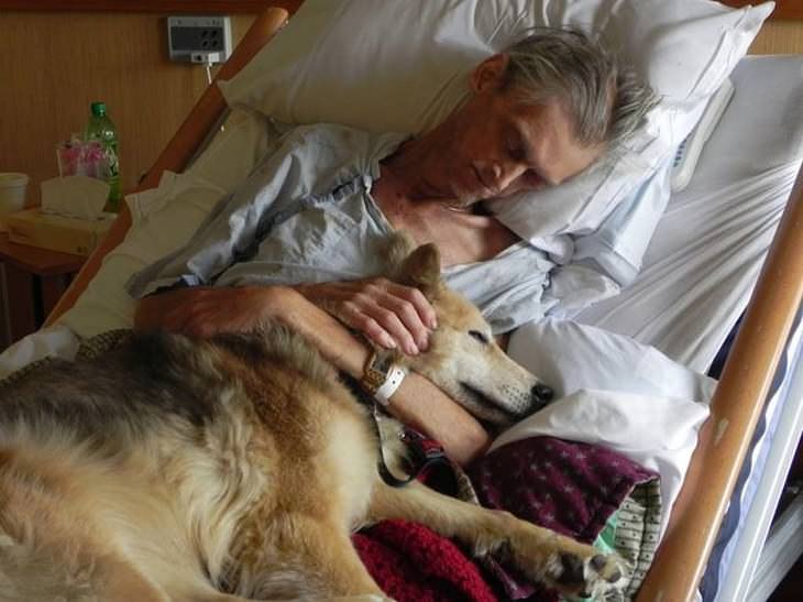 Imágenes de héroes de la vida real hombre en el hospital con su perro