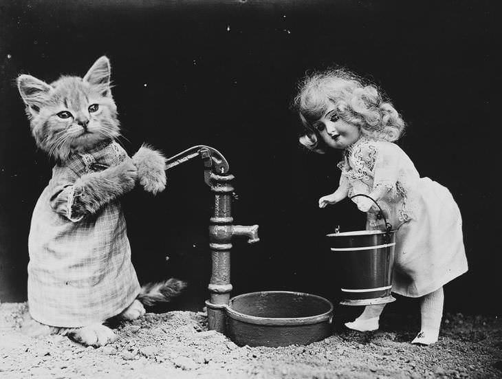 Imágenes Vintage De Perros y Gatos gato sirviendo agua de una llave 
