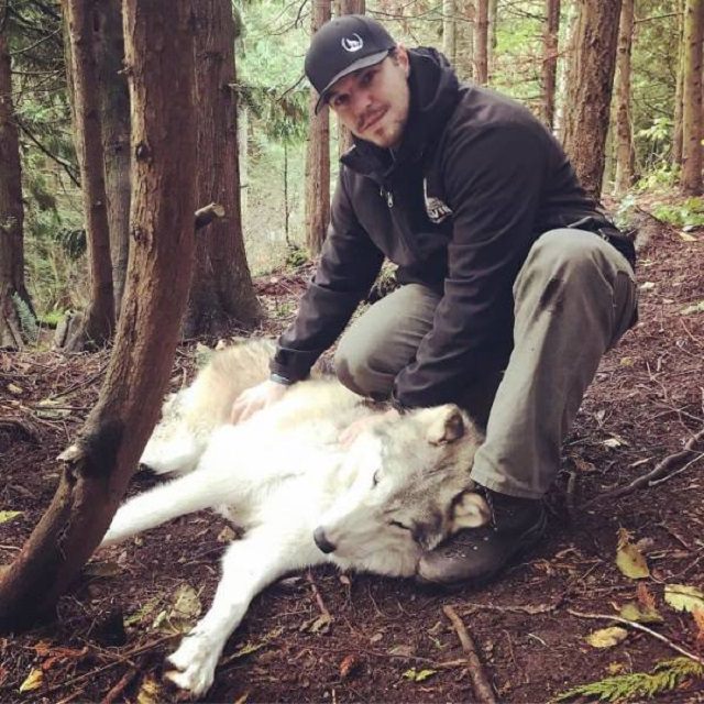 El Lugar En Washington Donde Puedes Convivir Con Lobos lobo acostado en el zapato de un hombre