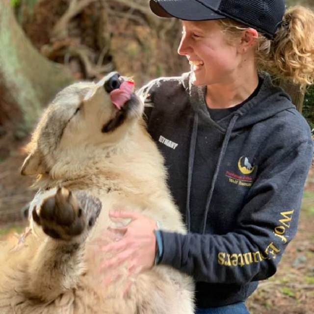 El Lugar En Washington Donde Puedes Convivir Con Lobos mujer abrazando a lobo