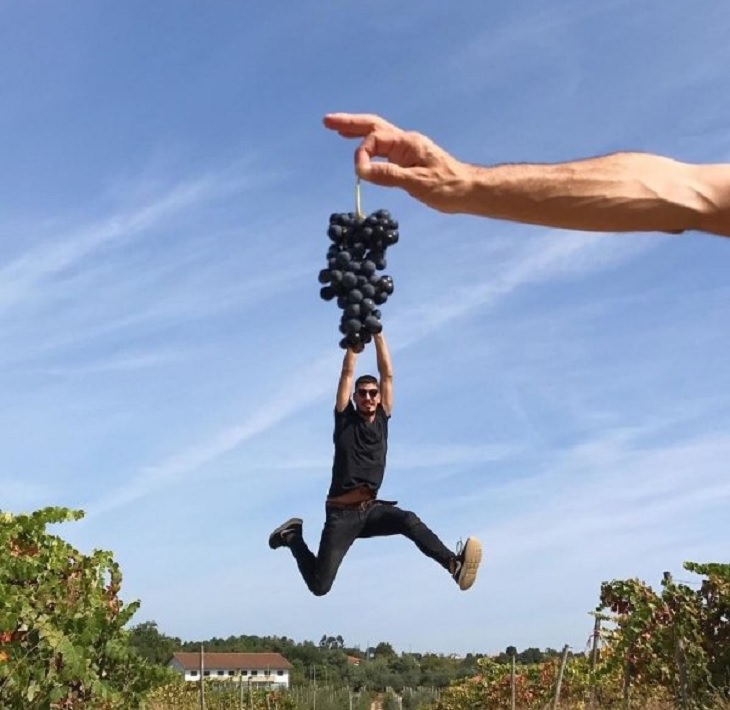 Imágenes De Ilusiones Ópticas De Tiago Silva hombre colgado de un racimo de uvas
