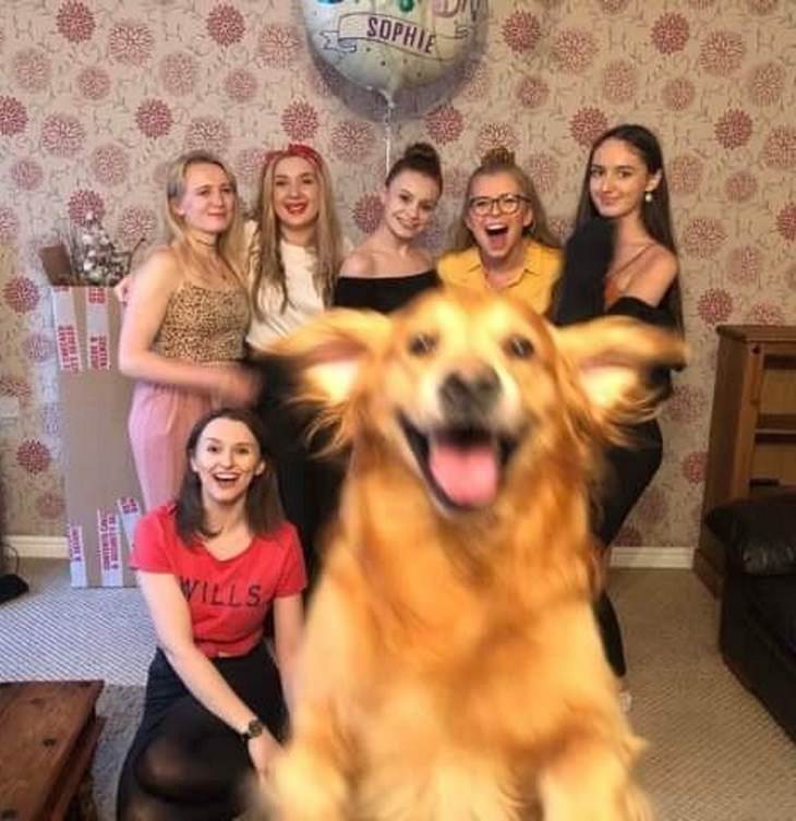 perro saltando en foto de cumpleaños