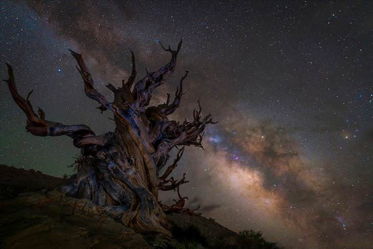Fotografías de Astronomía Cuidadno la galaxia de Jez Hughes